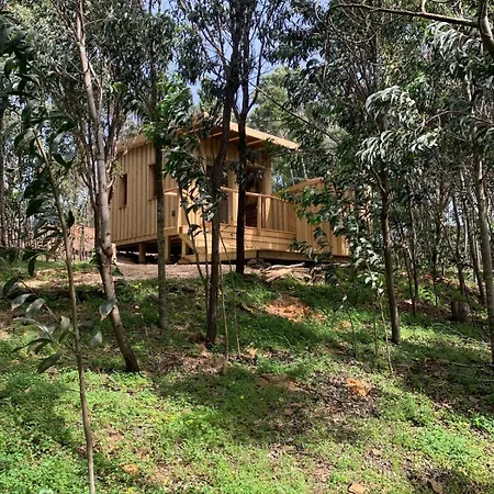 Semesterbostad Soul Farm Algarve - Glamping & Farm *