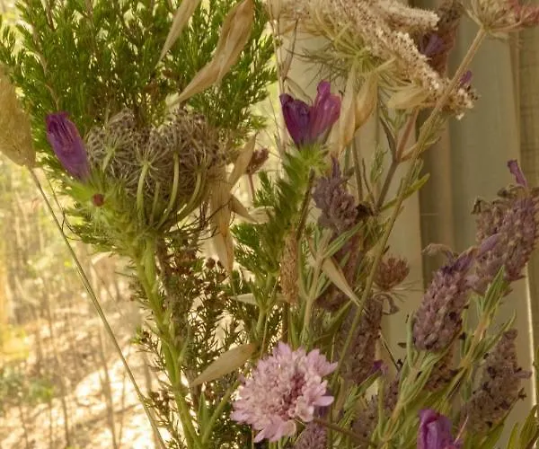 Soul Farm Algarve - Glamping & Farm *