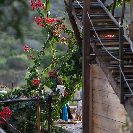 Soul Farm Algarve - Glamping & Farm Aljezur