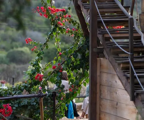 Soul Farm Algarve - Glamping & Farm Aljezur